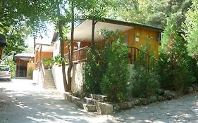 Бунгала Нимфа